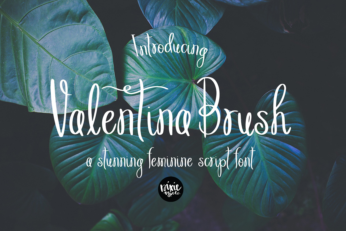 ULTIMATE .OTF FONT BUNDLE - 45 FONTS, a Script Font by Blush Font Co. (Photo 11 of 13)