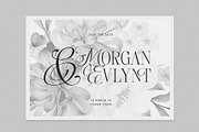 Blouse Lavender Display Serif, a Serif Font by Violet Natural (Thumbnail 5 of 11)