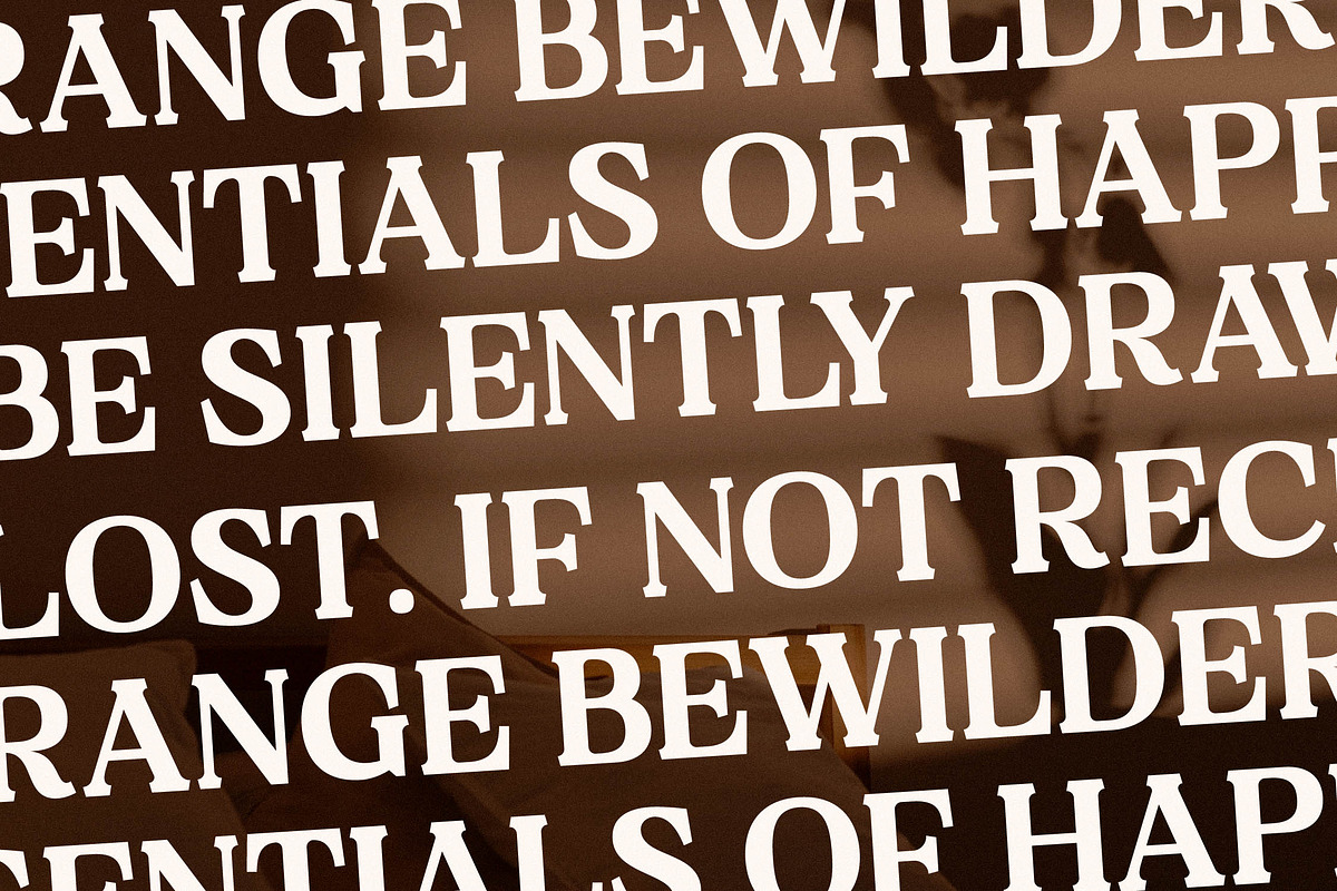 Neraphic A Modern Serif Font, a Serif Font by Storytype Studio (Photo 5 of 15)