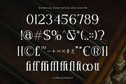 Sefiely - Modern Serif Font, a Serif Font by Flawless And Co (Thumbnail 9 of 10)
