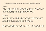 NT SEAWAVE, a Serif Font by nevsky.type (Thumbnail 8 of 10)