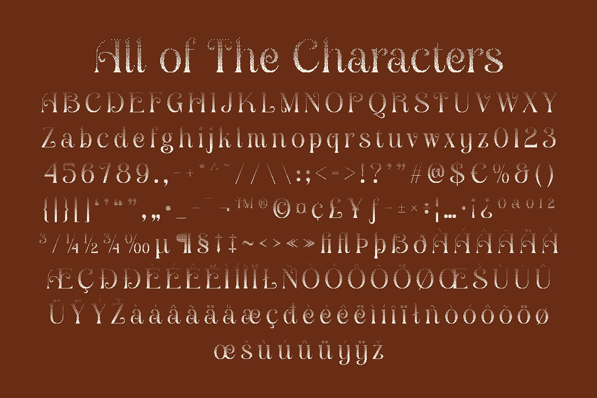 Angeris Halfpixel, a Serif Font by Craft Supply Co. (Photo 8 of 8)