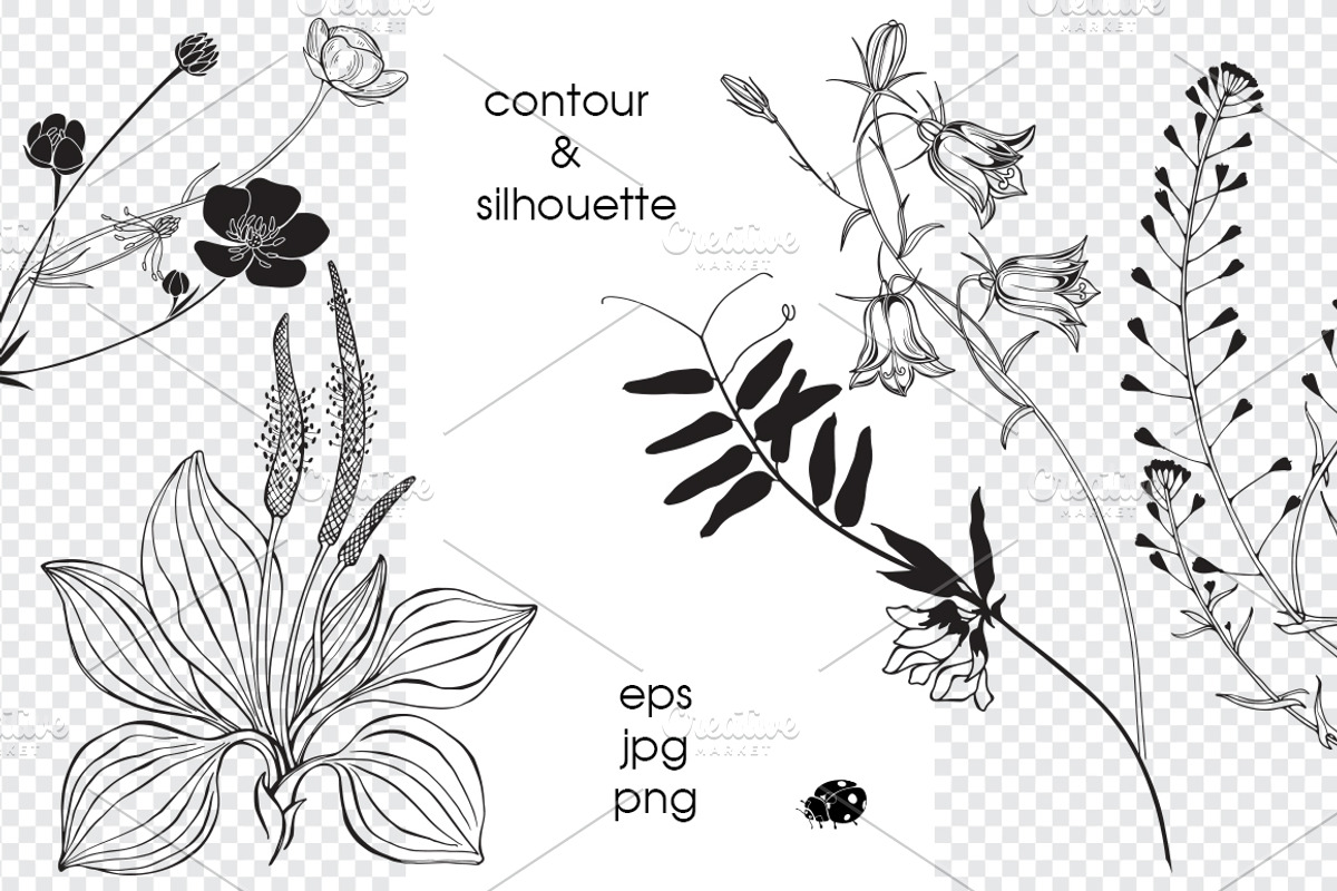 Wildherbs and flowers., an Object Graphic by maritime_m (Photo 2 of 8)