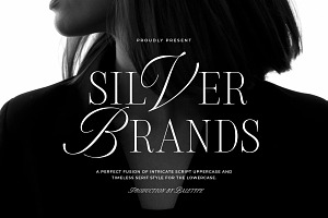 Silver Brands - Elegant Mixed Serif, a Serif Font by Bale Type