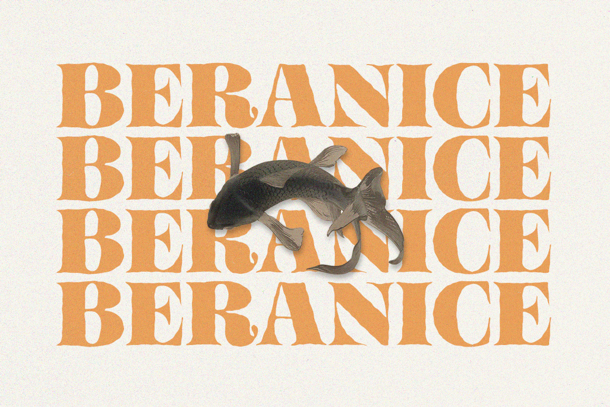 Mellora - Display Serif, a Serif Font by Fargun Studio (Photo 10 of 24)