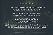 Montena Cottage Stylish Retro Serif, a Serif Font by Dylla_studio (Thumbnail 9 of 10)