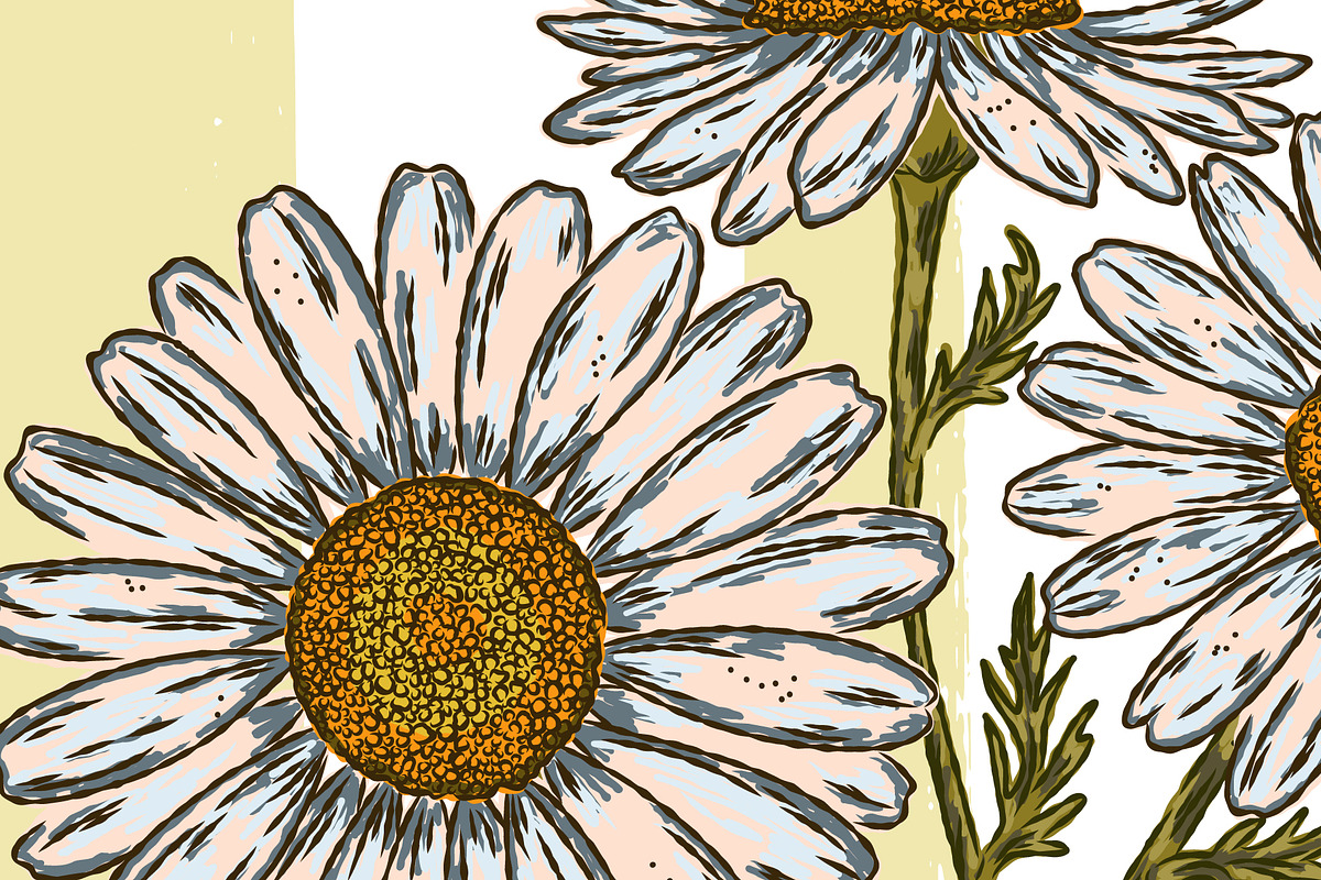 wild daisy botanical stripe, a Pattern Graphic by NayaChu (Photo 9 of 10)