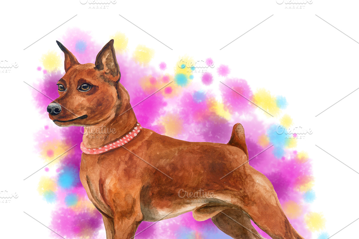 Watercolor Dogs Mega Big Bundle, an Illustration by Dneprstock (Photo 46 of 60)