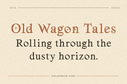 Goldenrod – Medieval Decorative, a Serif Font by Typehand Studio (Thumbnail 2 of 10)