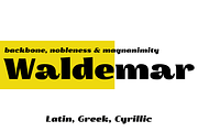 Waldemar 4F Black, a Font by 4th february type foundry (Thumbnail 1 of 5)