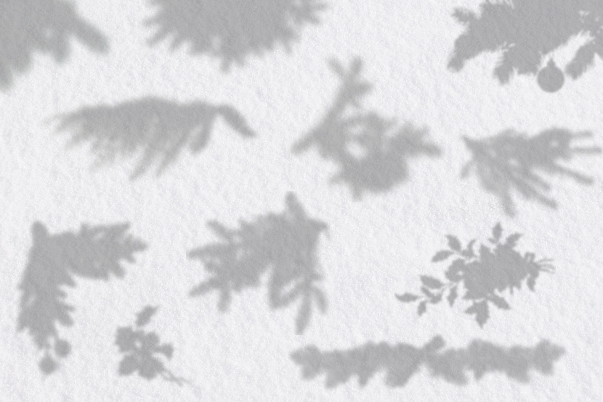 Christmas Unique Shadow Overlays, a Product Mockup by Lana Sham (Photo 3 of 9)