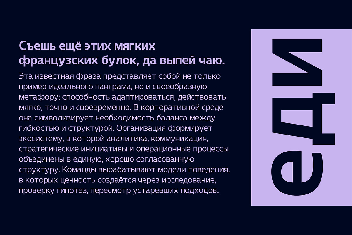 Blumir Font Family, a Sans Serif Font by Ridtype Foundry (Photo 4 of 11)