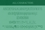 Avelion – Elegant Serif, a Font by Craft Supply Co. (Thumbnail 8 of 8)