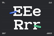 GC Regain - Display Bold Slab Serif, a Slab Serif Font by Glyphonic (Thumbnail 2 of 15)