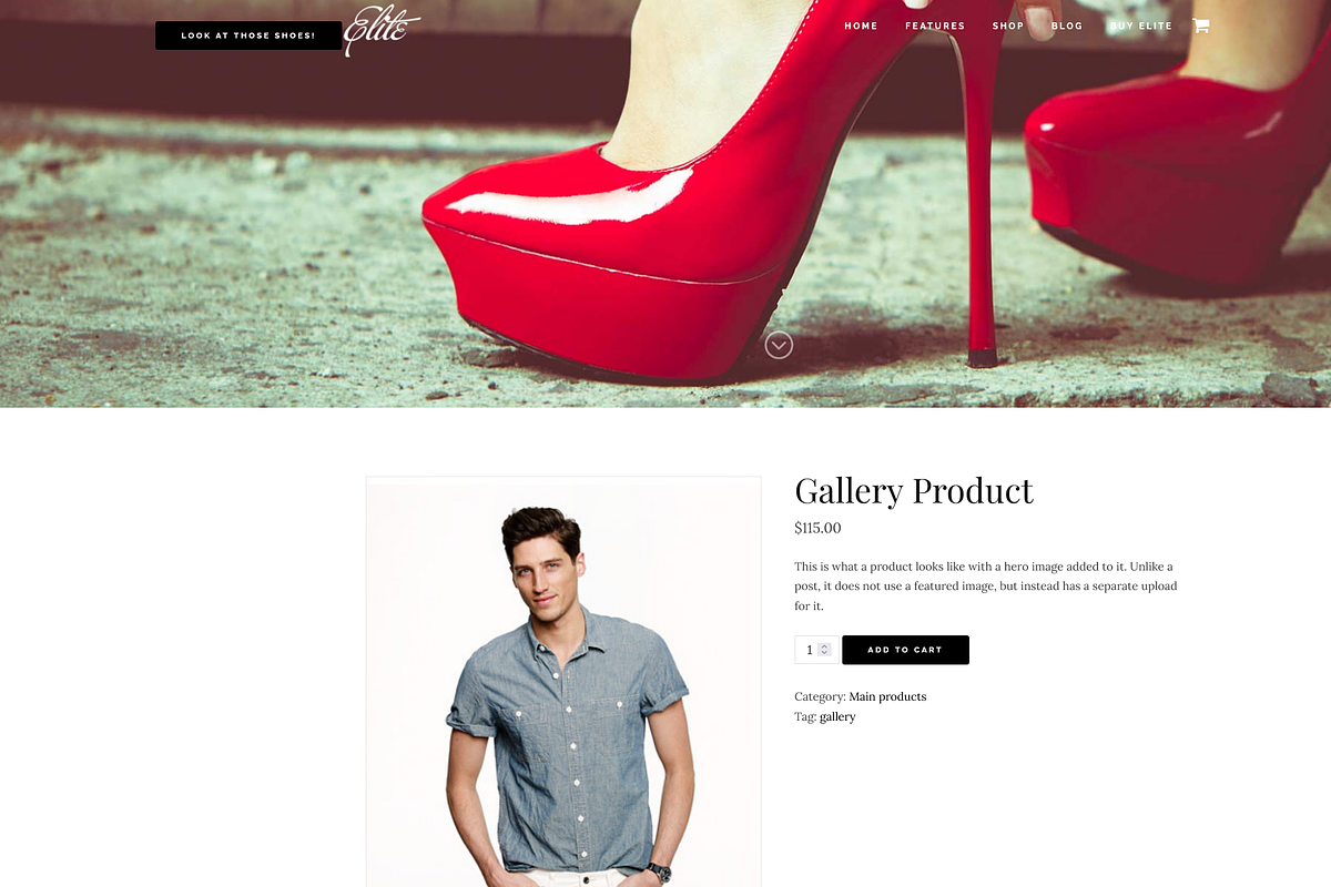Elite Business/WooCommerce WP Theme, a WordPress Template by Organized Themes (Photo 9 of 12)