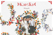 Karelia. North berry watercolor, an Object Graphic by ma_i_vi (Thumbnail 6 of 10)
