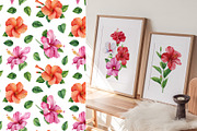 Watercolor tropical hibiscus flowers, an Object Illustration by Hanna Hryharenka (Thumbnail 13 of 18)