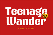 Teenage Wander - Variable Font, a Serif Font by TeenageFoundry (Thumbnail 1 of 12)