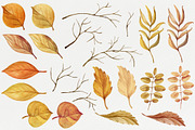 Warm Autumn. Watercolor DIY Pack, an Illustration by NataliVA (Thumbnail 4 of 5)