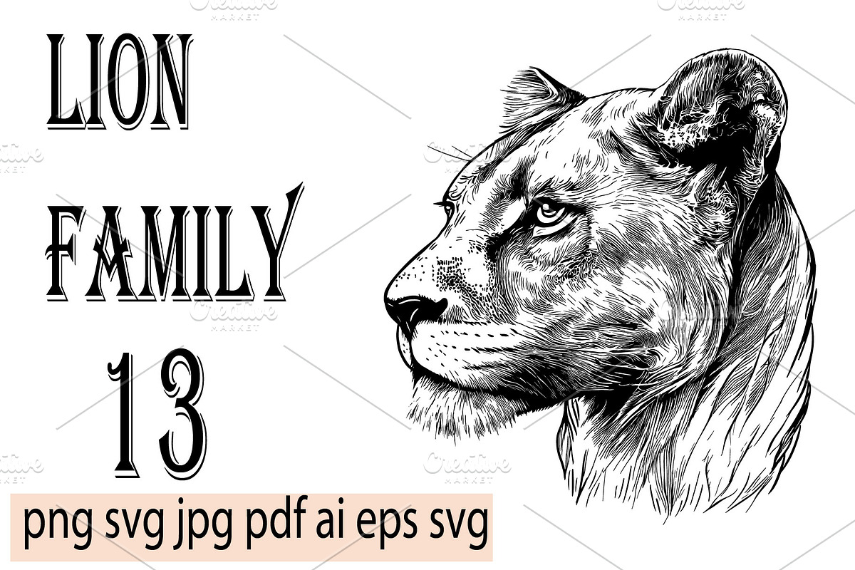 LION FAMILY set, an Animal Illustration by IPVector (Photo 5 of 13)