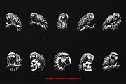10 Bundle Dark Art Macaw Bird Parrot, an Illustration by Morspective (Thumbnail 6 of 7)