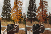 15 Moody Fall Lightroom Presets, a Preset Add-On by TheWayfarerShoppe (Thumbnail 8 of 8)