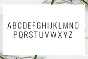 Slovenia, a Sans Serif Font by edcreative (Thumbnail 4 of 7)