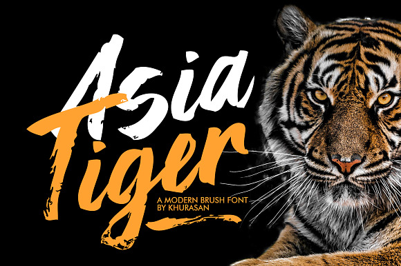 Asia Tiger Brush Font preview 7
