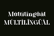 Eqaslo - Elegant Vintage Font, a Serif Font by Iqsiart Studio (Thumbnail 6 of 14)