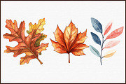 Watercolor Fall Leaves Clipart, an Illustration by Sublimation Artist (Thumbnail 3 of 6)