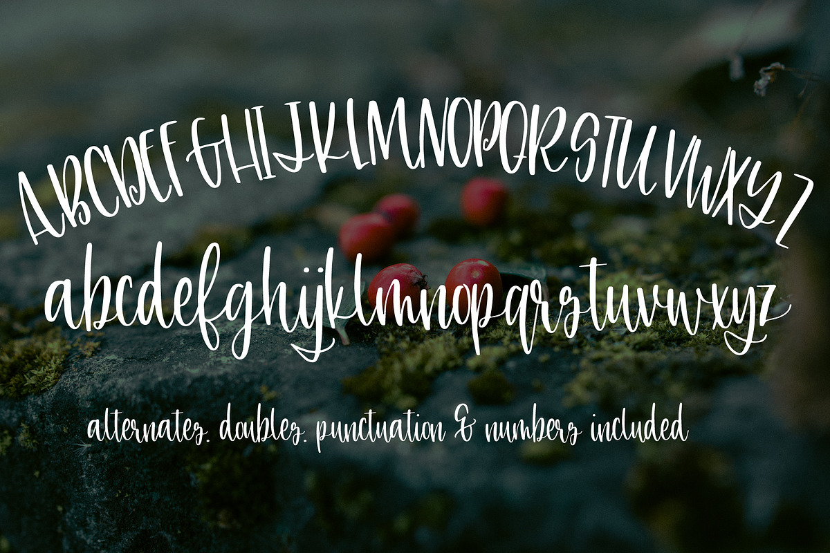Snowdonia preview 4