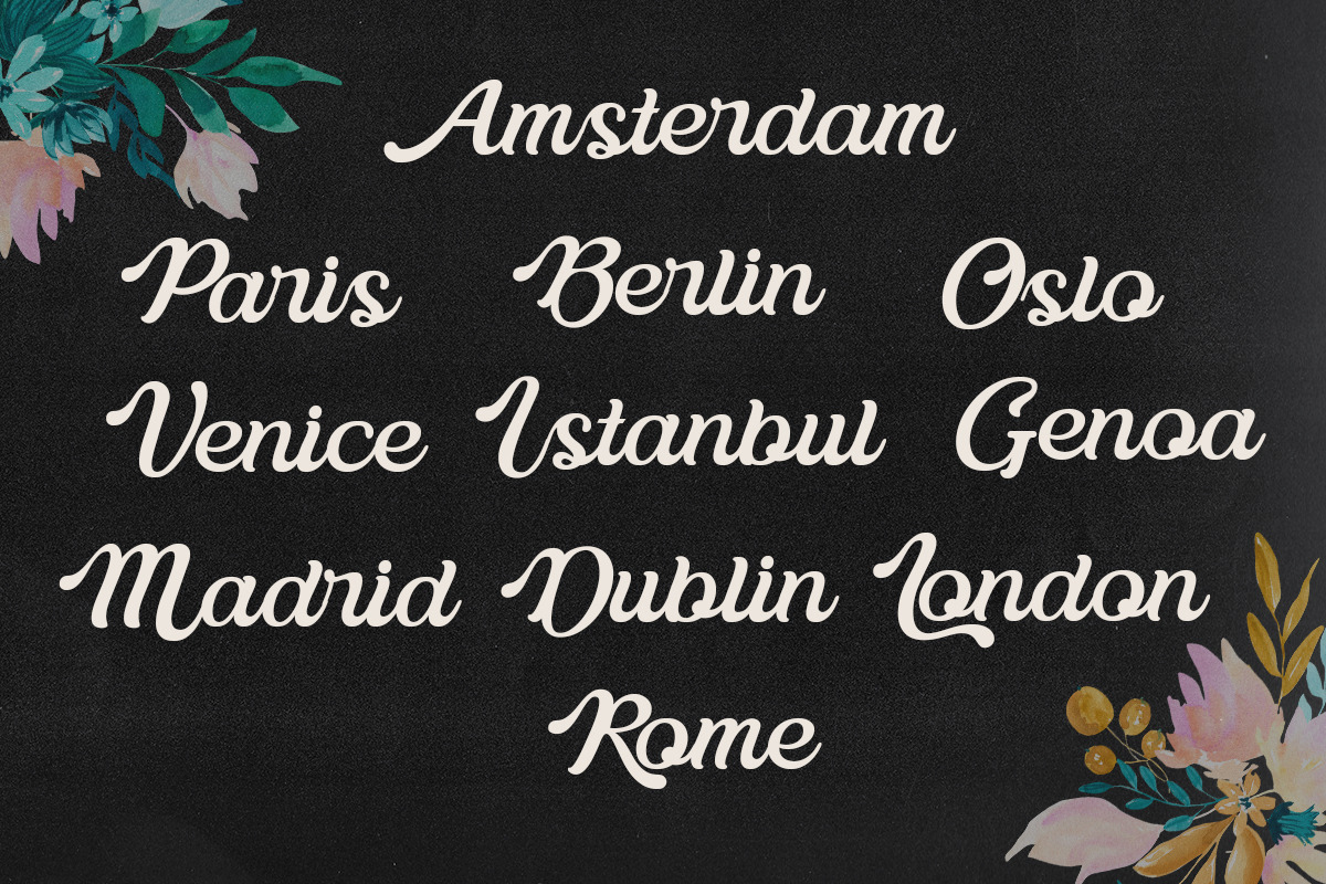 Delusoa - Minimalist Script, a Script Font by Qweera Studio (Photo 6 of 12)