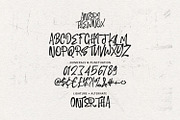 Anteri Thewnox Street Vibe Graffiti, a Handwritten Font by Maulana Creative (Thumbnail 6 of 7)