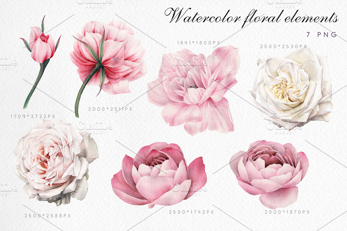 Watercolor Floral Bundle, a Texture Illustration by ollalya (Photo 74 of 112)