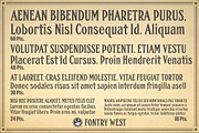 FHA Condensed French, a Font by Fontry West (Thumbnail 8 of 8)