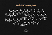 Heaven Scape - Stylish All Caps, a Serif Font by Bale Type (Thumbnail 10 of 10)