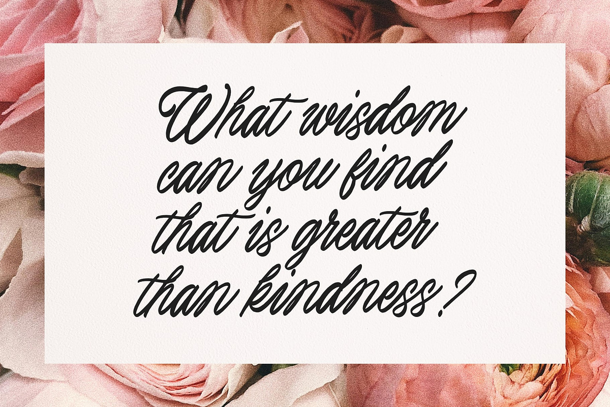 Baneberries Delight Handwriting, a Script Font by Damarletter (Photo 5 of 5)