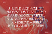 Adegofa || Modern Retro Serif Font, a Serif Font by Idea Studio (Thumbnail 10 of 10)