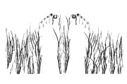 Feet in Grass Illustration, an Object Graphic by cvcreative (Thumbnail 2 of 2)