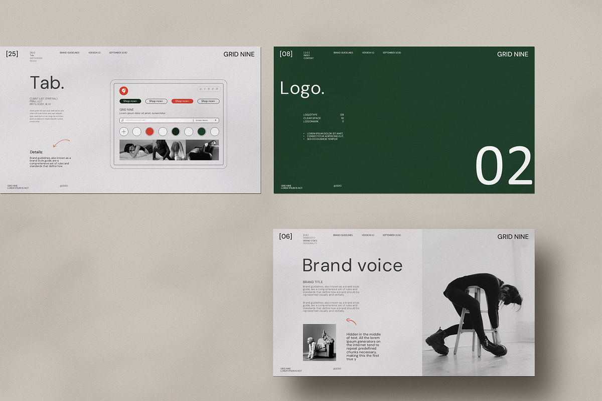Brand Guidelines Presentation, a Presentation Template by Studio Temply (Photo 8 of 13)