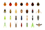 Flat Insects Illustration, an Animal Illustration by Buqancreative (Thumbnail 6 of 6)