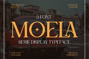 Moela - Serif Display Typeface