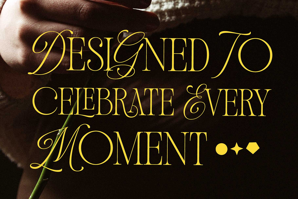 Andiena Bielsa - Hybrid Serif, a Serif Font by Arterfak Project (Photo 12 of 12)