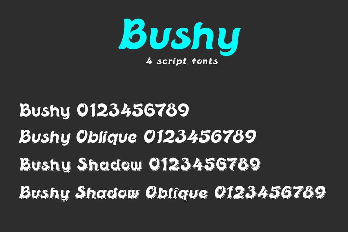 Bushy font family, a Script Font by vlad.berla (Photo 3 of 12)