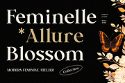 Fashion Luxury Serif Brand - Cekona, a Serif Font by Font Liner (Thumbnail 8 of 11)