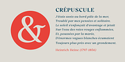 Vivala Marbod, a Serif Font by VivalaType (Thumbnail 7 of 13)