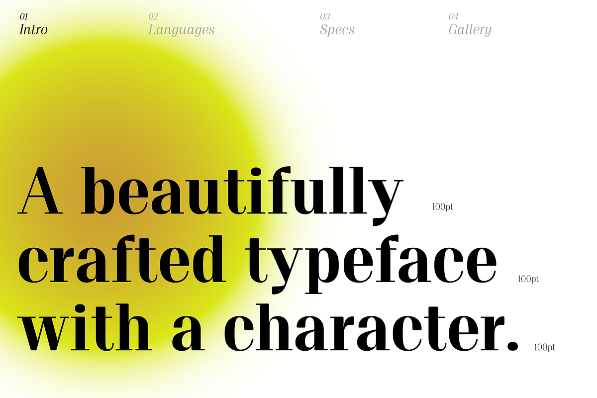 Proto Serif Bold, a Serif Font by Bukva™ Type Foundry (Photo 2 of 13)