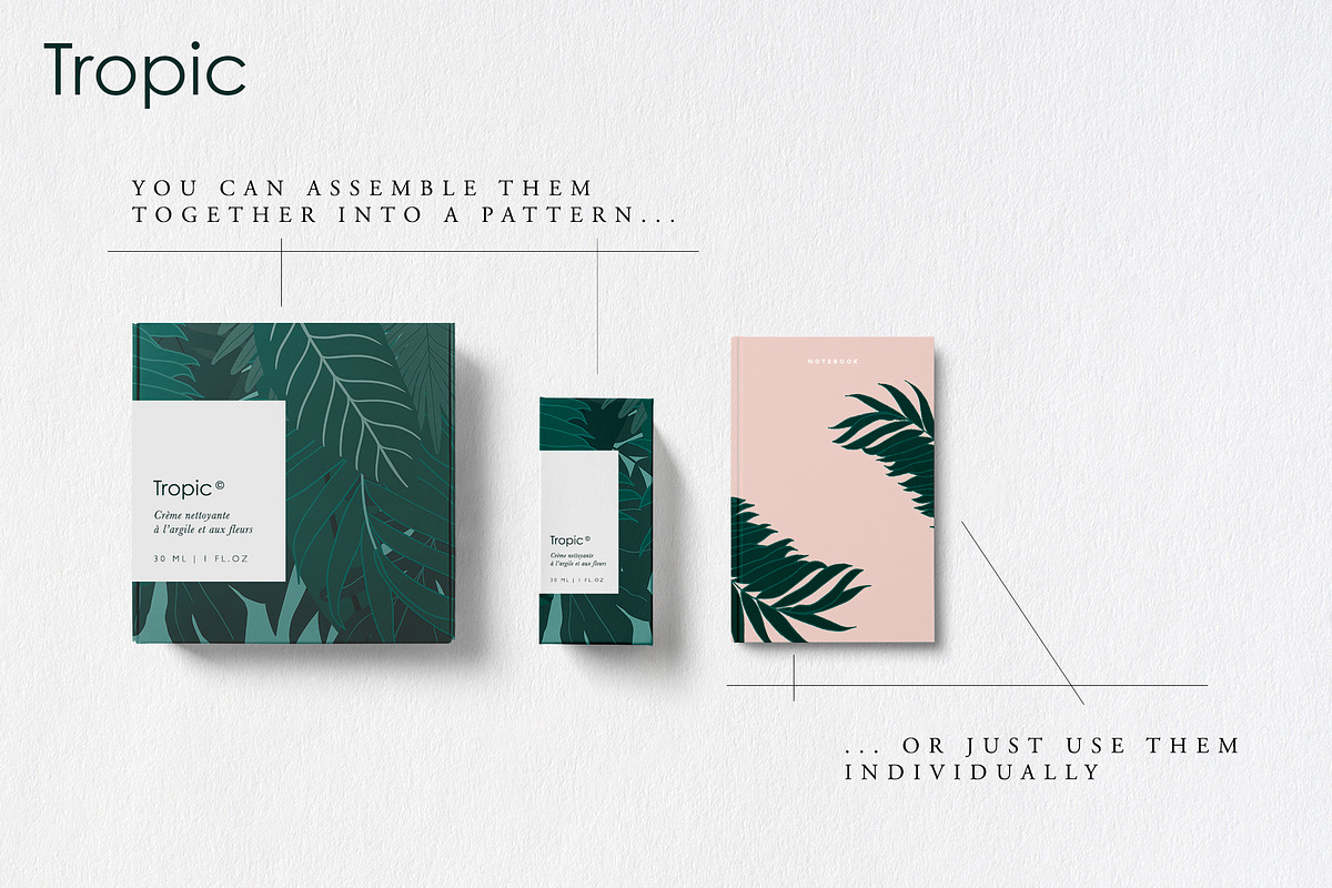 Tropic | Tropical Illustrations, an Illustration by new public (Photo 3 of 6)