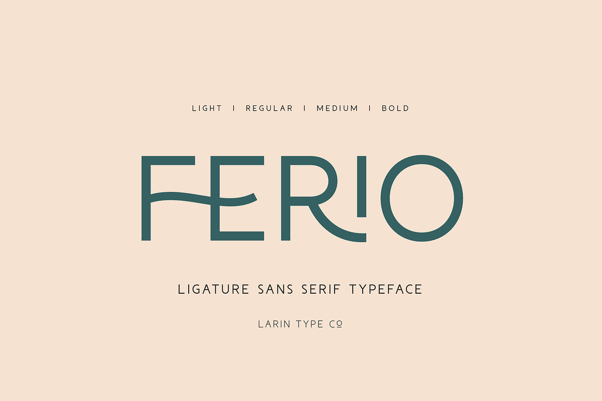 Ferio, a Sans Serif Font by Larin Type Co. (Photo 1 of 15)