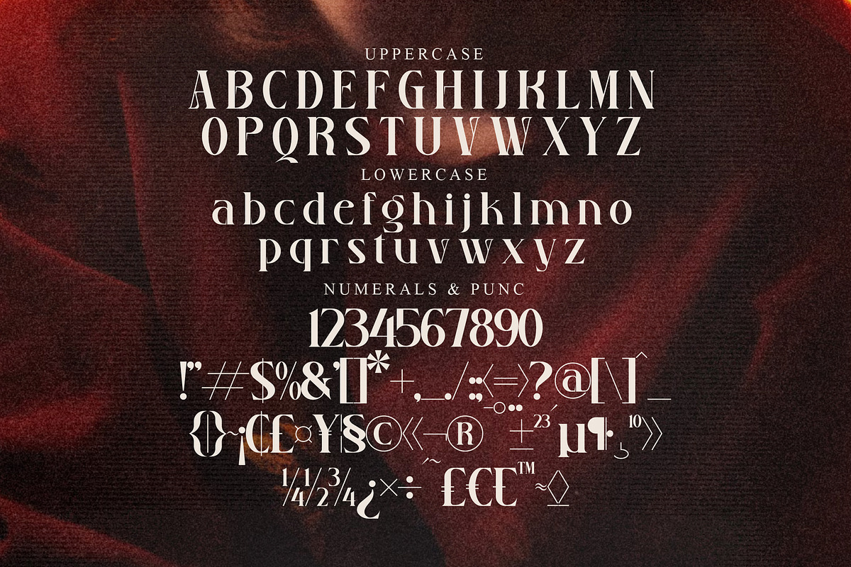 Ruadson Modern Serif Font, a Serif Font by Storytype Studio (Photo 13 of 15)